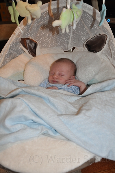 William's Third Week 02.jpg